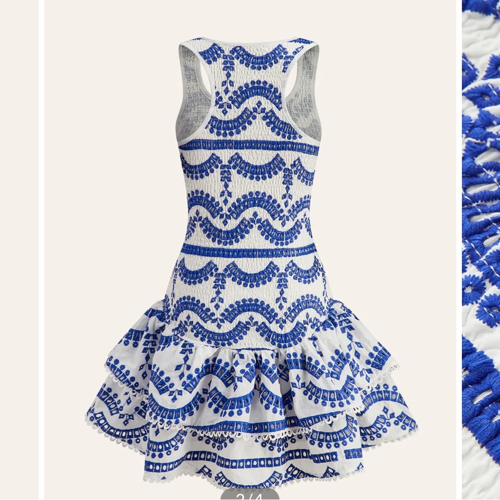 Embroidered Ruffled Sleeveless Dress - Picture 2 of 16
